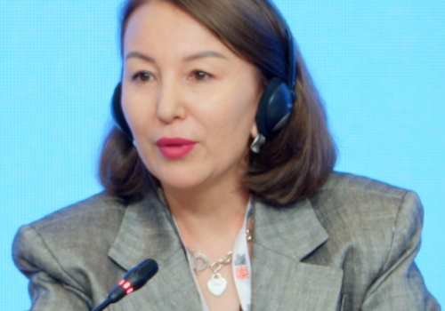 1-ci panel sessiya cercivesinde seslendirilen esas fikirleri teqdim edirik